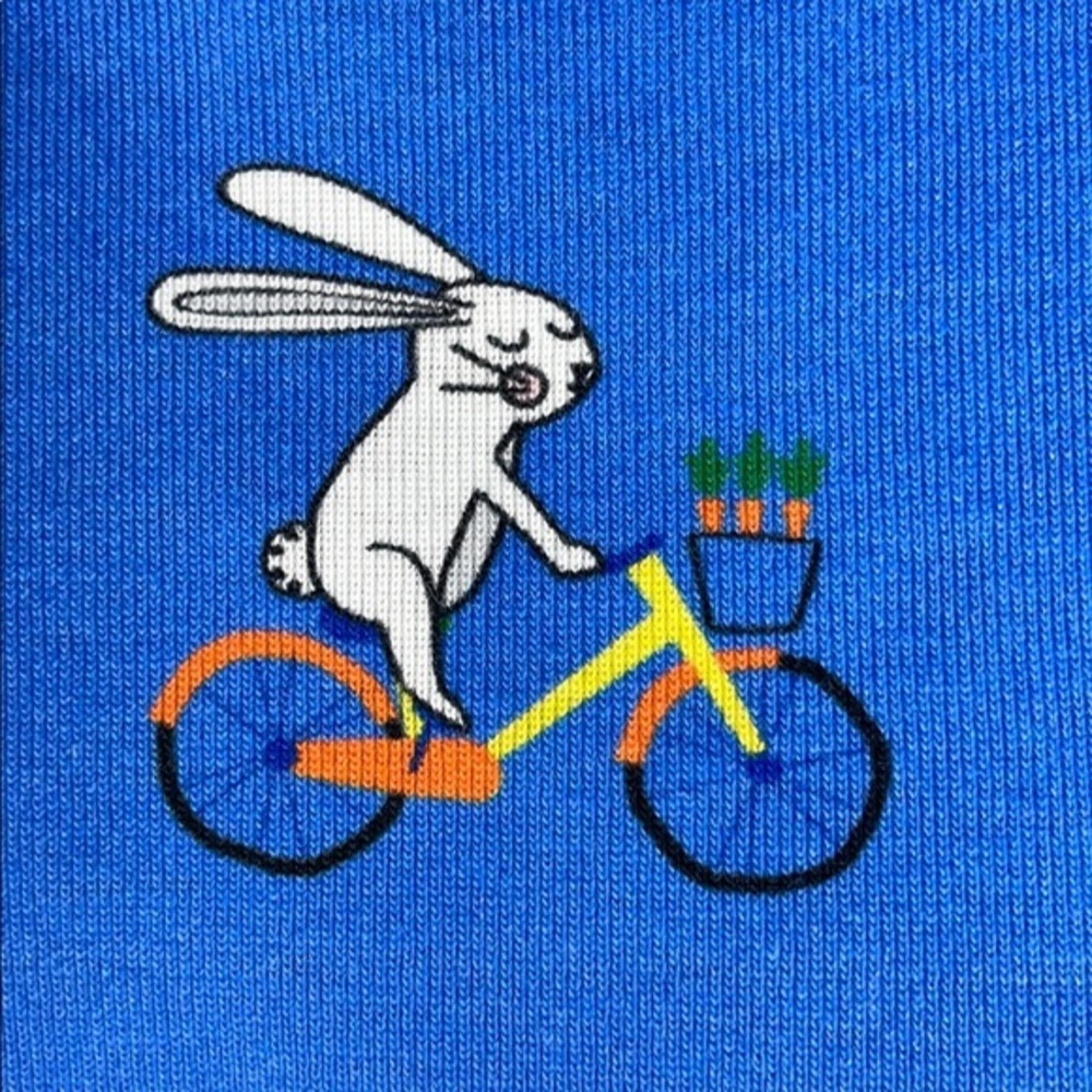 Hanna Andersson organic cotton bunny on bi… - Picture 2 of 9